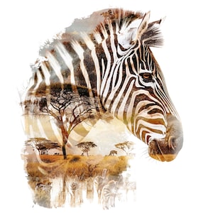 8 Art mural zèbre, photo zèbre, art mural imprimable, PNG/JPG de haute qualité, téléchargement numérique, haute résolution, conception de t-shirt, sublimation