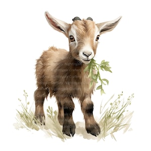 12 png boerderij geit clipart, geit kind, afdrukbare aquarel clipart, hoge kwaliteit png's, digitale download, papier ambacht, ongewenste tijdschriften