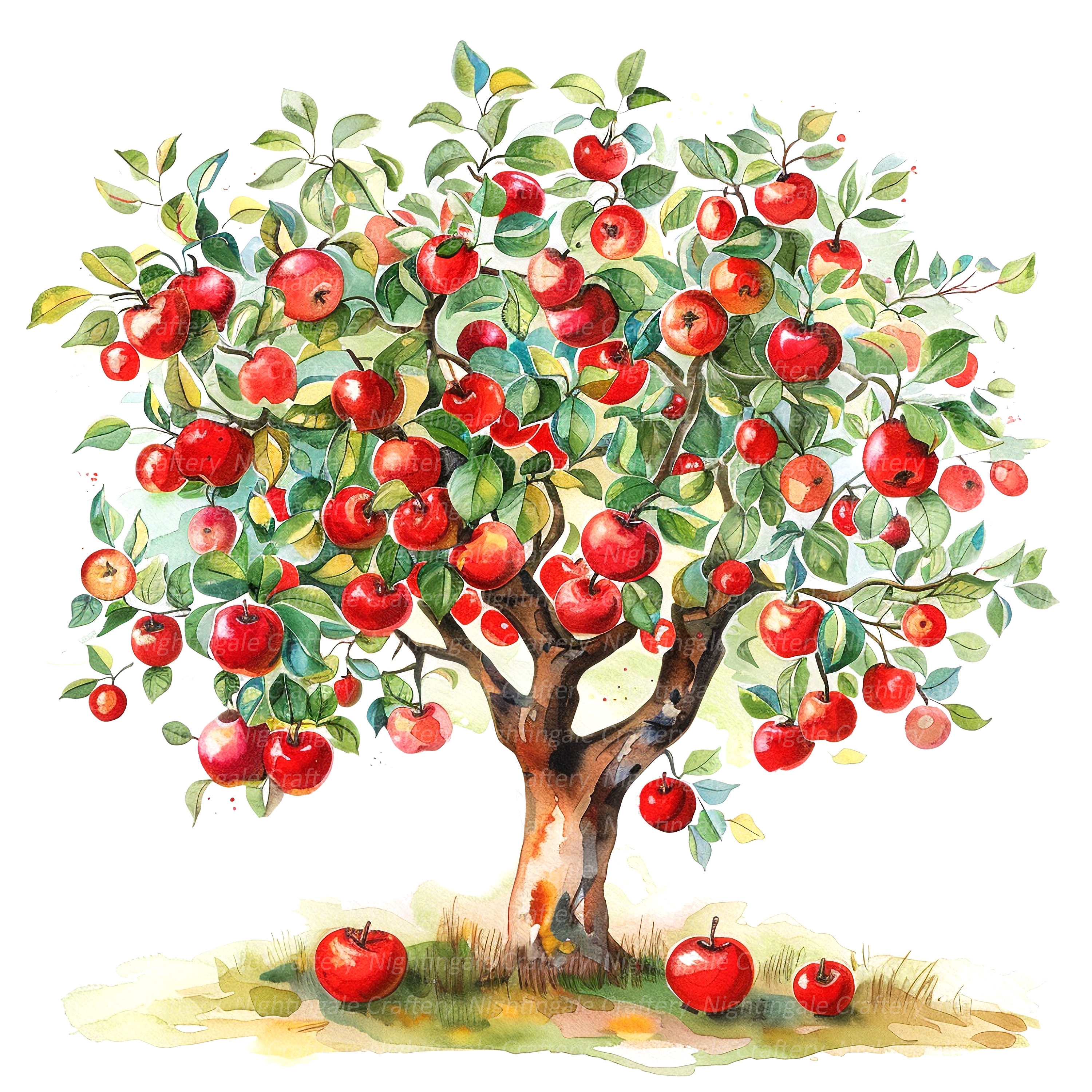 9 Apple Tree Clipart, Appletree Clipart, Apple, Printable Watercolor ...