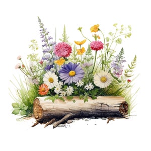 12 PNG Flores silvestres en imágenes prediseñadas de registro, Flores silvestres, Imágenes prediseñadas de acuarela imprimibles, PNG transparentes, Descarga digital, Artesanía de papel, diario basura
