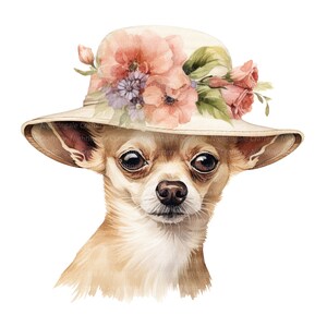 10 Chihuahua With Floral Hat Clipart, Printable Watercolor Clipart ...