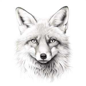Fox zwart witte clipart, zeer fijne tekeningen, clipart, afdrukbare aquarel clipart, 7 hoge kwaliteit JPG/PNG, digitale download, Papercraft, junk journal