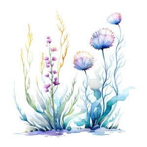 16 Imágenes Prediseñadas de plantas submarinas, plantas acuáticas, imágenes prediseñadas de acuarela imprimible, JPG de alta calidad, descarga digital, artesanía de papel, diario basura