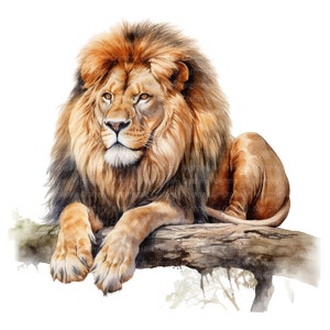Puede incluir: Una pintura de acuarela de un le&oacute;n con una melena espesa, sentado en una rama de &aacute;rbol. El le&oacute;n tiene un pelaje marr&oacute;n claro y una expresi&oacute;n seria.
