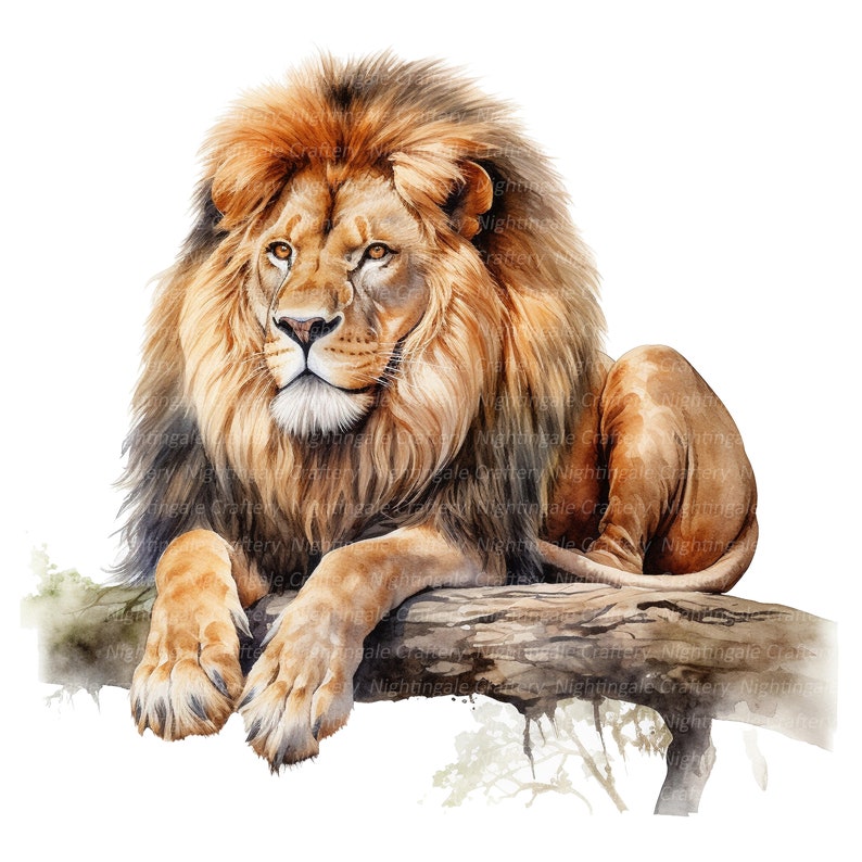 Puede incluir: Una pintura de acuarela de un le&oacute;n con una melena espesa, sentado en una rama de &aacute;rbol. El le&oacute;n tiene un pelaje marr&oacute;n claro y una expresi&oacute;n seria.