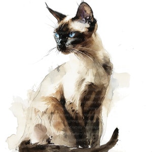 11 Clipart de gato siamês, clipart de gatinho siamês, clipart em aquarela para impressão, JPG de alta qualidade, download digital, artesanato em papel, diários indesejados