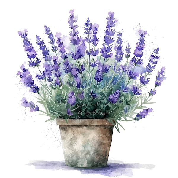 10 Lavender In Pot Clipart, Lavender Clipart, Printable Watercolor clipart, High Quality JPGs, Digital download, Paper craft, junk journal