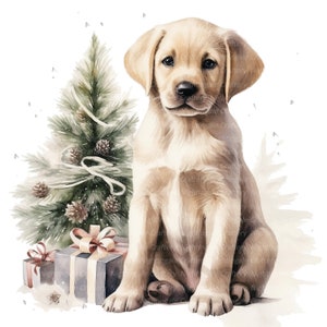 12 Christmas Labrador Clipart, Labrador Retriever Images, Printable Watercolor clipart, High Quality JPGs, Digital download, Paper craft