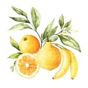 8 Zitrus Clipart, Küche Clipart, Banane, Zitrone, druckbare Aquarell Clipart, hochwertige JPGs, digitaler Download, Papier Handwerk, Journaling