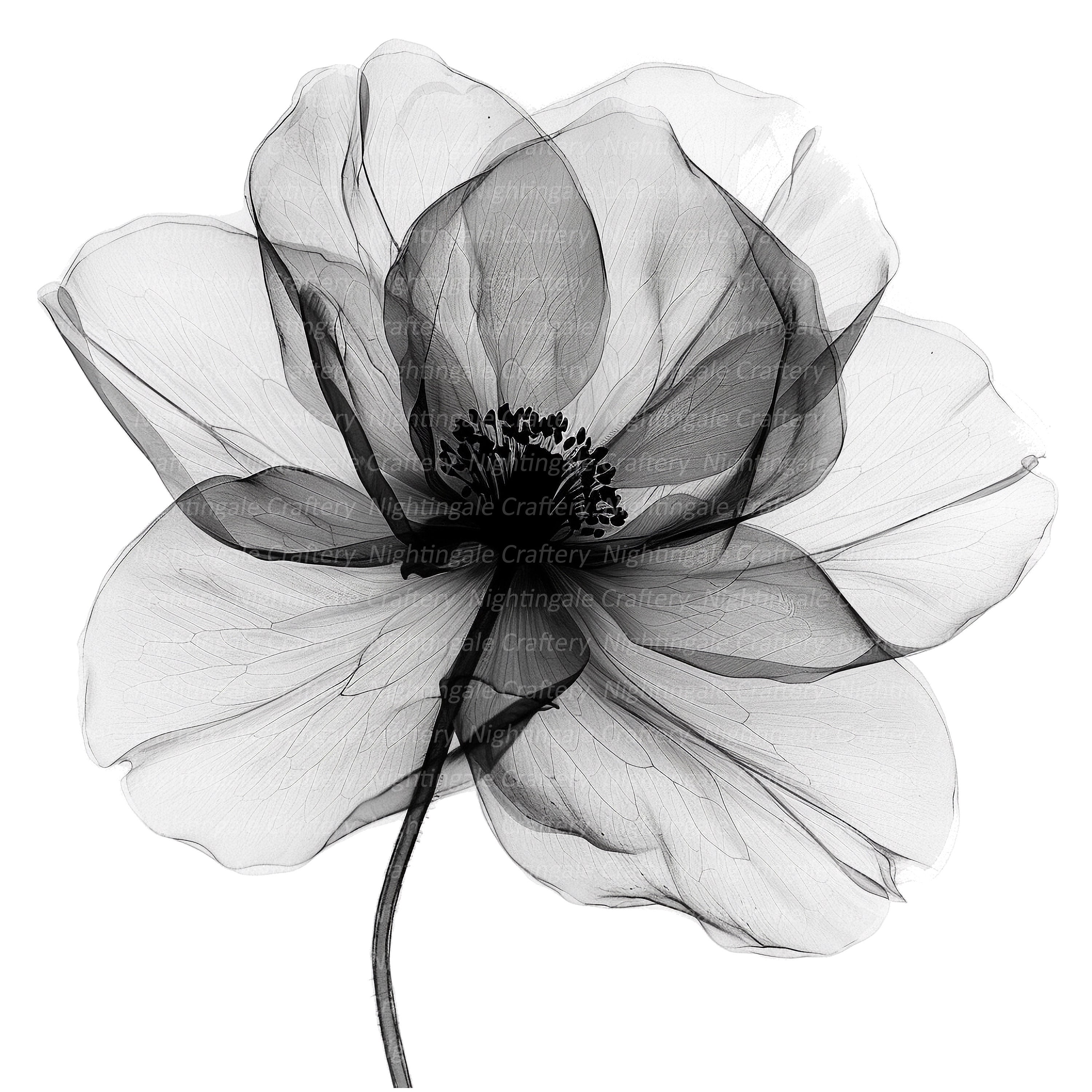 black-flower-clipart-png
