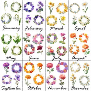 96 PNG naissance mois fleur Clipart, Couronne de fleurs de naissance, clipart aquarelle imprimable, usage commercial, téléchargement numérique, créations en papier