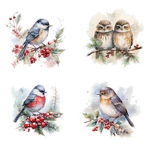 20 divers cliparts d'oiseaux de Noël, Robin, clipart aquarelle imprimable, fichiers JPG de haute qualité, téléchargement numérique, créations en papier, journaux indésirables