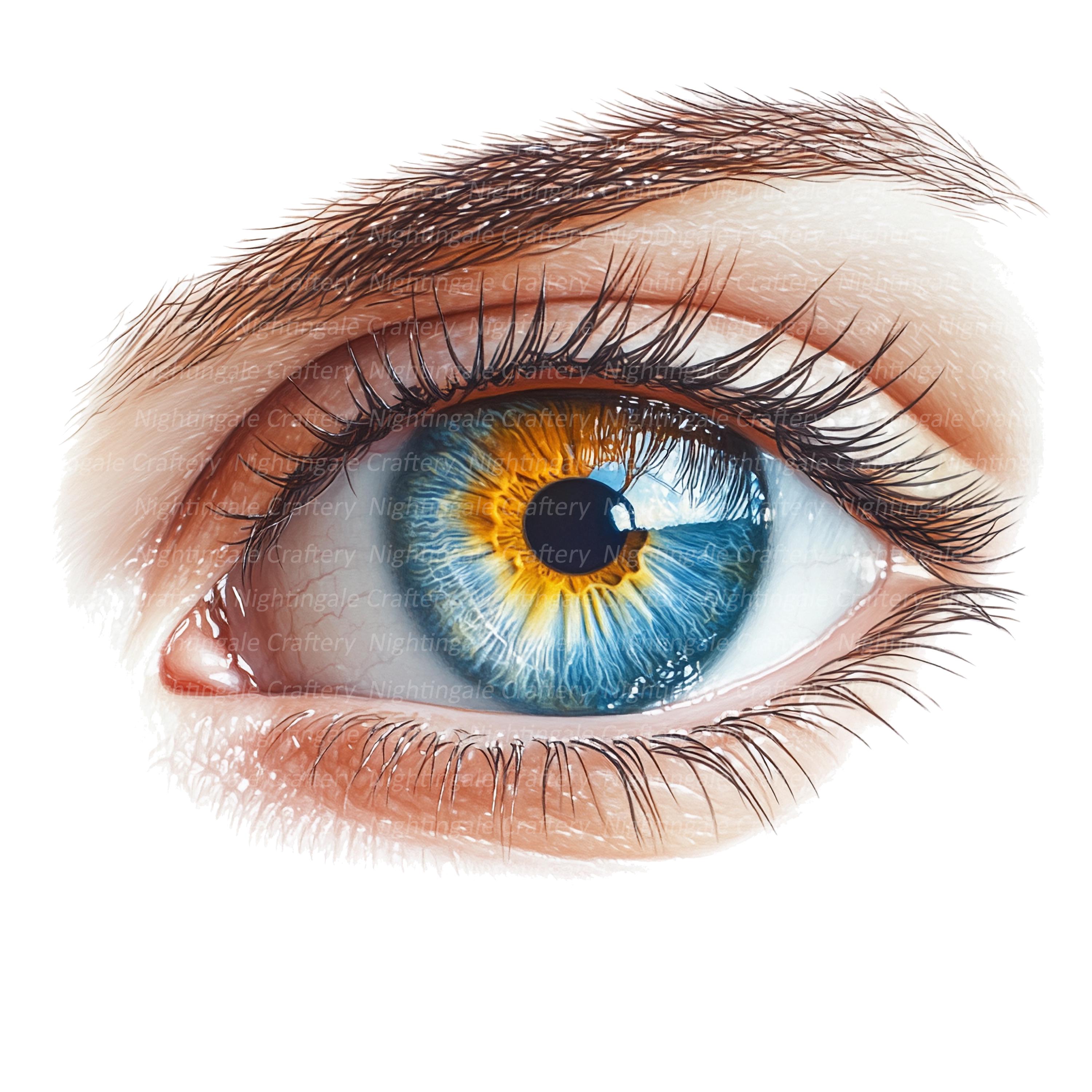 水彩画「瞳」 Drawing Jewel Eyes!! [Beginner's Course #07] - YouTube