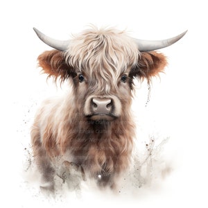 10 cliparts bébé vache Highland, ferme des cliparts, clipart aquarelle imprimable, haute qualité PNG/JPG, téléchargement numérique, créations en papier, journaux indésirables
