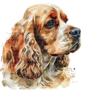 Könnte beinhalten: Aquarellmalerei eines braunen und weißen Cocker Spaniel Hundes mit langen, fließenden Ohren. Der Kopf des Hundes ist zur Seite gedreht und seine Augen sind geschlossen. Das Gemälde ist in einem realistischen Stil gehalten, mit weichen, verblendeten Farben.