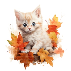 10 cliparts automne chaton, clipart chat, clipart aquarelle imprimable, fichiers JPG de haute qualité, téléchargement numérique, créations en papier, journaux indésirables