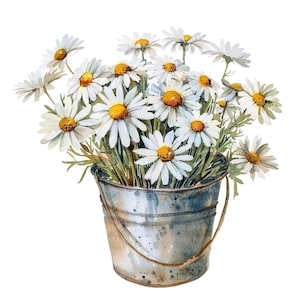 7 Clipart di margherite nel secchio, Clipart di margherite, Clipart di acquerelli stampabili, PNG di alta qualità, Download digitale, Lavoretti di carta, diario spazzatura
