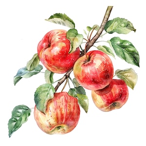 8 Apple Branch Clipart, Kitchen Clipart, Apple, Printable Watercolor Clipart, Wysokiej Jakości JPG, Pobieranie Cyfrowe, Rękodzieło Papierowe, Junk Journal