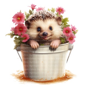 Cute Hedgehog Clipart, Clipart de aquarela para impressão, 10 JPGs de alta qualidade, Download digital, Alta resolução, Artesanato em papel, diários de lixo