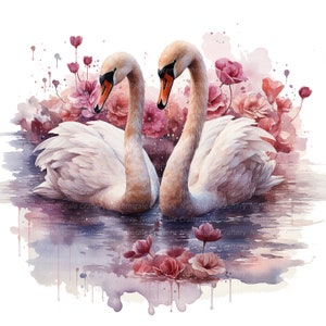 8 Swan Couple Clipart, Romantic Love Swans, Printable Watercolor ...