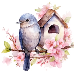 11 Birdhouse Clipart, Bird House Clipart, clipart aquarelle imprimable, fichiers JPG de haute qualité, téléchargement numérique, créations en papier, journaux indésirables