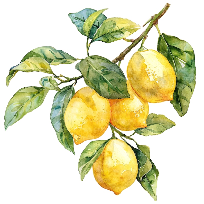 May include: A watercolor painting of a lemon tree branch with four ripe yellow lemons and green leaves.