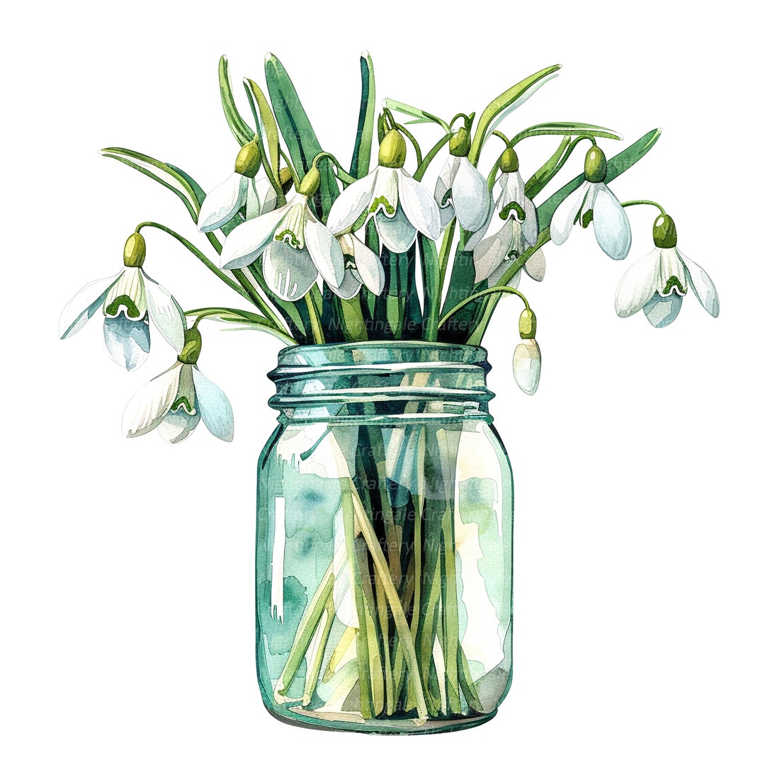 10 Snowdrop Jar Clipart, Spring Flowers, Printable Watercolor Clipart ...