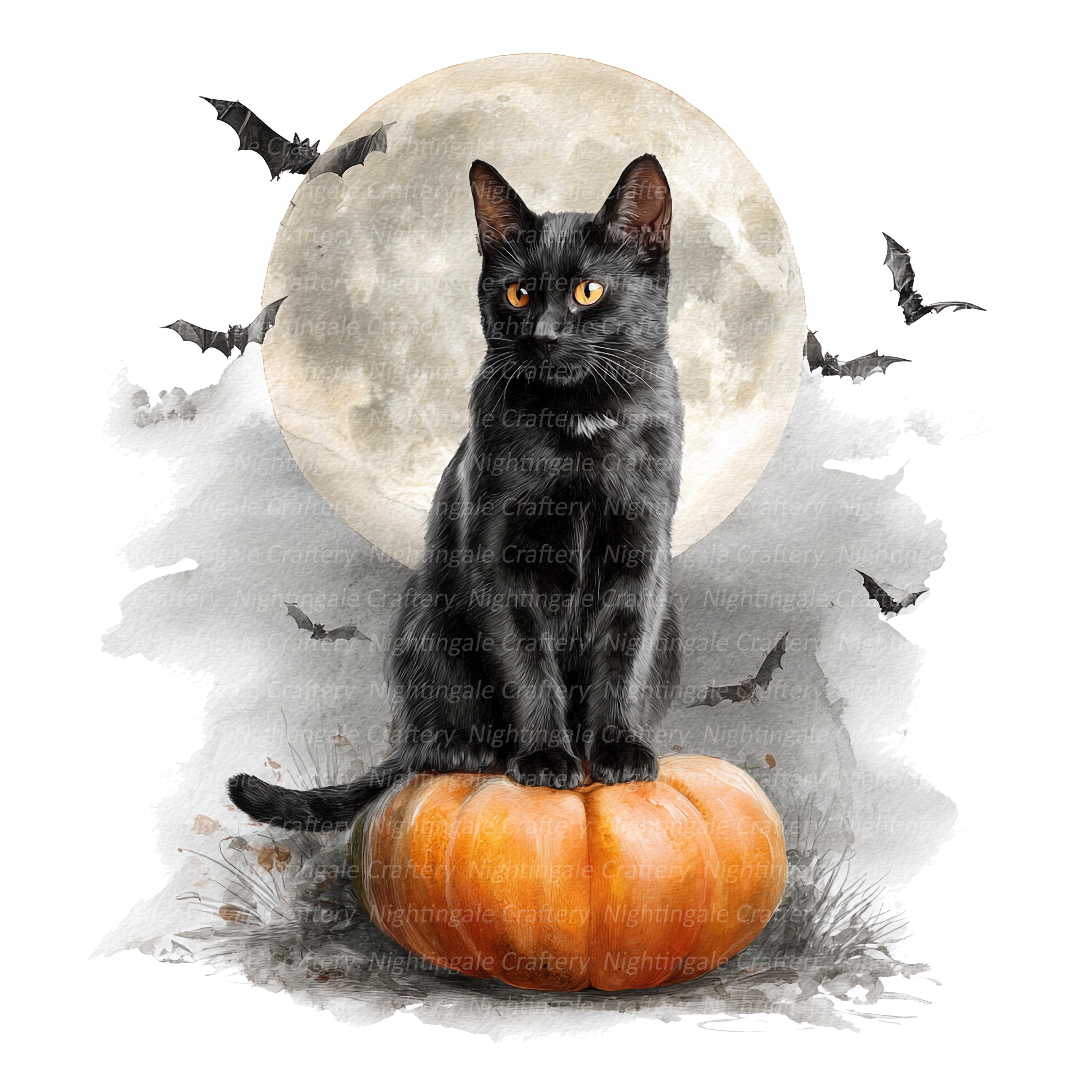 Black Cat on Pumpkin Clipart: Halloween Watercolor (digital Download ...