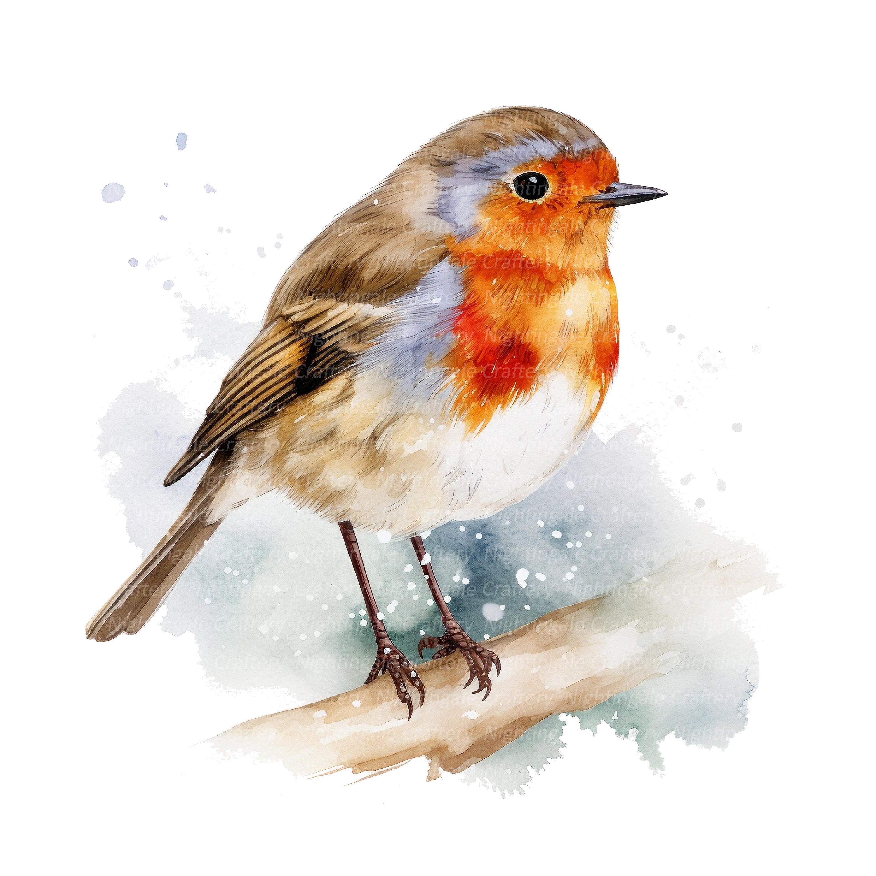 10 Christmas Robin Clipart, Printable Watercolor Clipart, High Quality ...