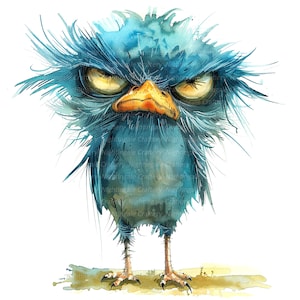 14 grincheux oiseaux Clipart lot 2, mignons oiseaux duveteux, clipart numérique, clipart aquarelle, PNG de haute qualité, clipart imprimable, téléchargement numérique