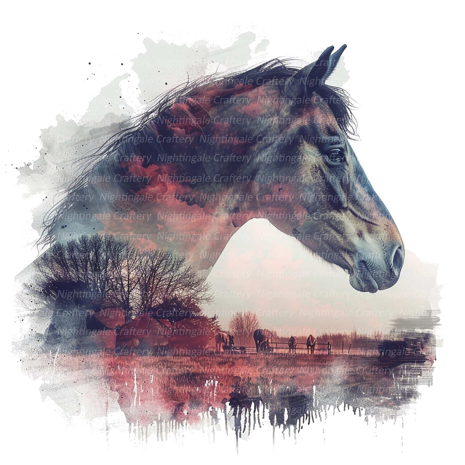Horse Photo Printable