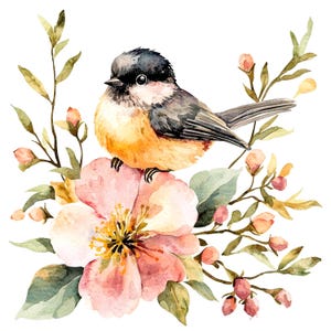 12 cliparts oiseau floral, oiseau et fleur, clipart aquarelle imprimable, fichiers JPG de haute qualité, téléchargement numérique, créations en papier, journaux indésirables
