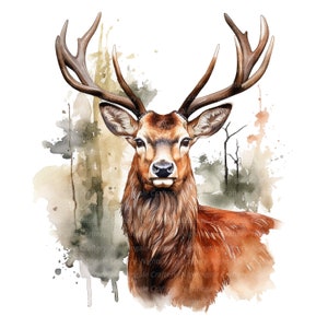 12 PNG cerf élaphe dans la forêt des cliparts, clipart aquarelle imprimable, cerf PNG, téléchargement numérique, haute résolution, créations en papier, journaux,