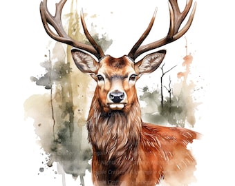 12 png edelhert in bos clipart, afdrukbare aquarel clipart, hert png, digitale download, hoge resolutie, papier ambachten, tijdschriften,