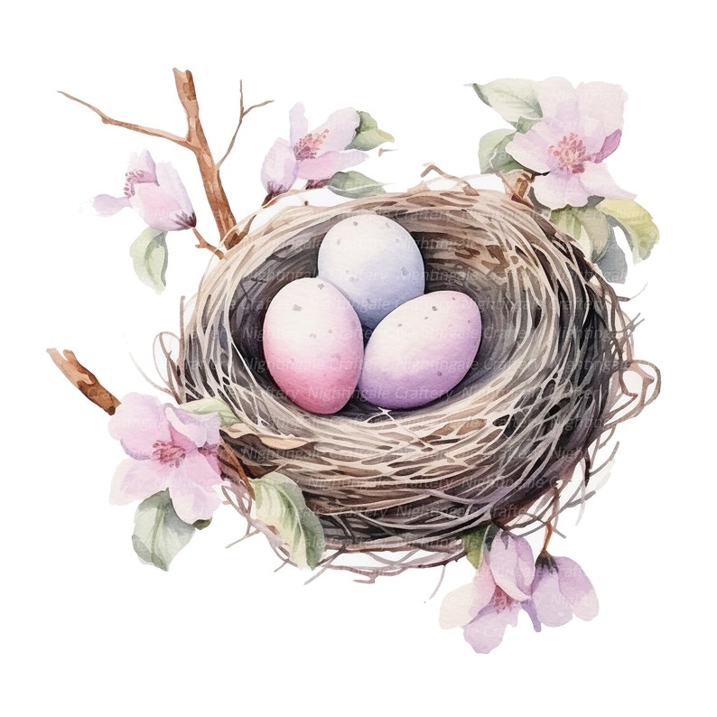 8 Floral Bird Nest Clipart, Decorative Nest, Printable Watercolor clipart, High Quality JPGs, Digital download, Paper craft, junk journals image 8