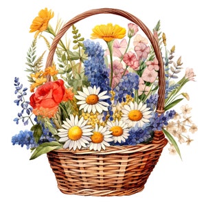 14 clipart de flores silvestres em cesta, flores silvestres, clipart em aquarela para impressão, JPGs de alta qualidade, download digital, artesanato em papel, diário de lixo eletrônico