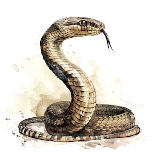 11 Clipart de cobra em aquarela, cobra de sublimação, clipart em aquarela para impressão, JPGs de alta qualidade, download digital, artesanato em papel, diário de lixo eletrônico