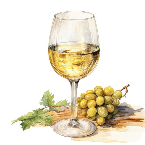 12 Wein Gläser Clipart, Weißwein, Rotwein Clipart, druckbare Aquarell Clipart, hochwertige JPGs, digitaler Download, Papierhandwerk