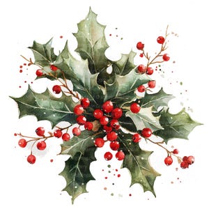 10 imágenes prediseñadas de decoración de acebo, imágenes prediseñadas navideñas, imágenes prediseñadas digitales, imágenes prediseñadas de acuarela, JPG/PNG de alta calidad, imágenes prediseñadas imprimibles, descarga digital