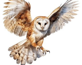 12 Snow Owl Clipart, Barn Owl Clipart, Cute Owl, Digital Clipart, Watercolor clipart, High Quality JPG, Printable clipart, Digital download