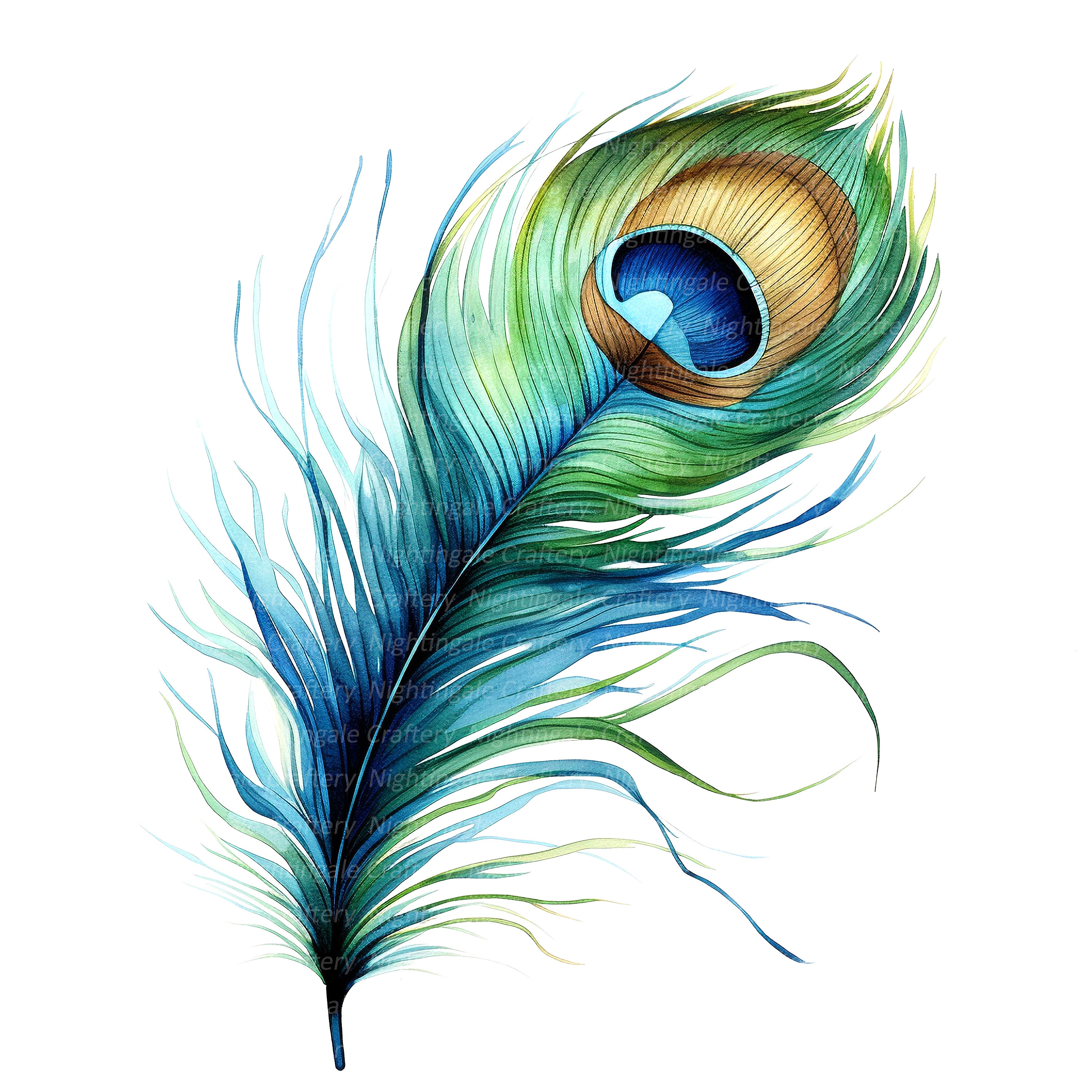 10 Peacock Feather Clipart, Gorgeous Peacock, Printable Watercolor clipart, High Quality PNGs, Digital download, Paper craft, junk journal