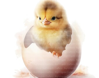 ひよこと卵の油絵 il_340x270.5518360858_derr.jpg