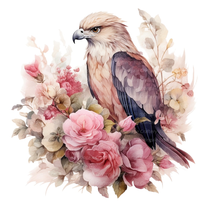 10 Floral Hawk Clipart, Adorable, Digital Clipart, Watercolor Clipart ...