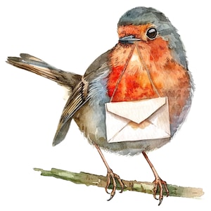 12 imágenes prediseñadas de petirrojo con sobre, petirrojo navideño con carta, imágenes prediseñadas de acuarela imprimibles, PNG de alta calidad, descarga digital, manualidades de papel
