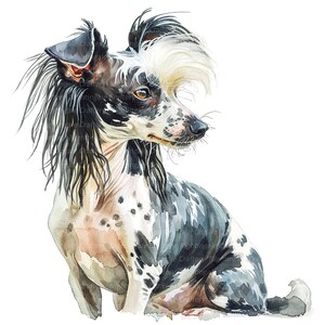 11 Clipart di cane crestato cinese, stampa di cane crestato, clipart acquerello stampabile, JPG di alta qualità, download digitale, artigianato con la carta, diari
