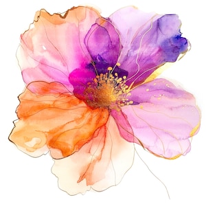 12 cliparts fleurs abstraites, orange rose vif, fleurs imprimées, clipart aquarelle imprimable, PNG de haute qualité, téléchargement numérique, créations en papier