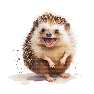 Clipart de ouriço sorridente feliz, clipart em aquarela para impressão, 10 JPGs de alta qualidade, download digital, artesanato em papel, diários indesejados