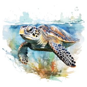 12 Imágenes Prediseñadas de tortugas marinas, tortugas marinas, imágenes prediseñadas de acuarela imprimibles, JPG de alta calidad, descarga digital, artesanía de papel, diario basura
