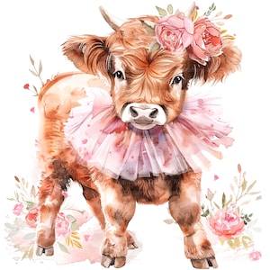 10 Highland Cow Ballerina Clipart, clipart de bezerro, clipart em aquarela para impressão, JPGs de alta qualidade, download digital, artesanato em papel, diários