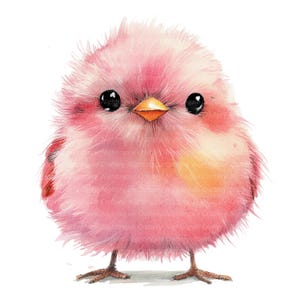 10 imágenes prediseñadas de pájaros caprichosos, pájaros esponjosos, imágenes prediseñadas digitales, imágenes prediseñadas de acuarela, archivos JPG de alta calidad, imágenes prediseñadas imprimibles, descarga digital, tarjetas
